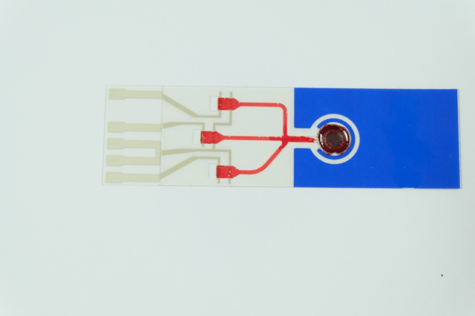 電化學感測器